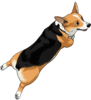 Corgi Finance